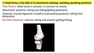 KNEE JOINT-biomeschanics.pptx DR VASU SRIVASTAVA | PPTX