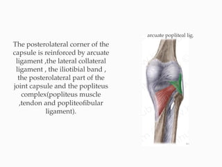 KNEEJOINT biomechanics by dr aslam matania | PPTX