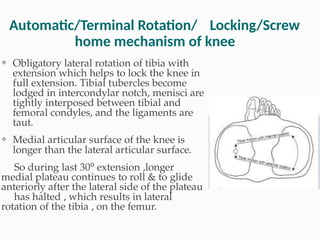 Terminal Rotation Tibia KNEEJOINT biomechanics by dr aslam matania | PPTX