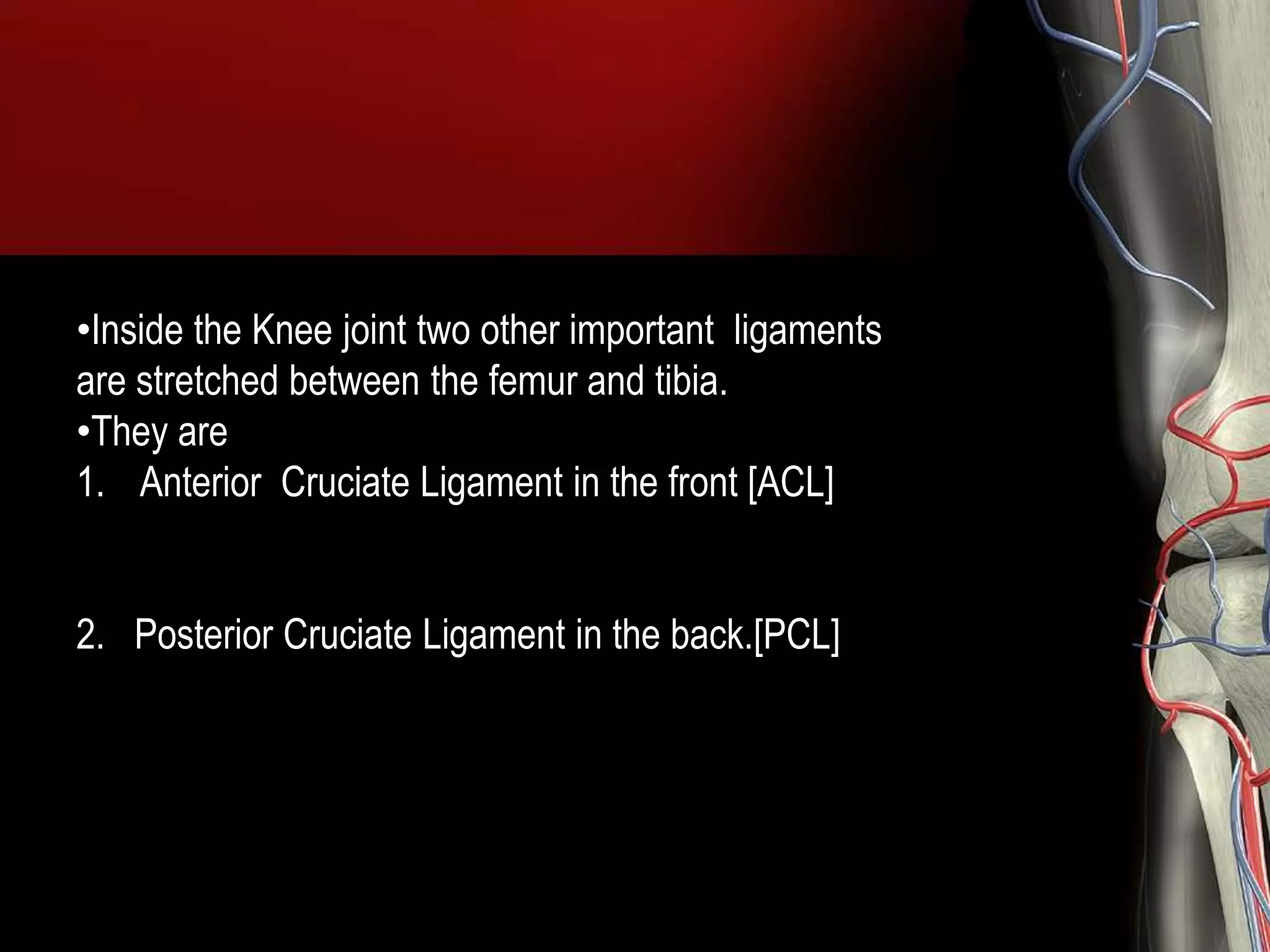 ANATOMY OF KNEE JOINT | PPTX