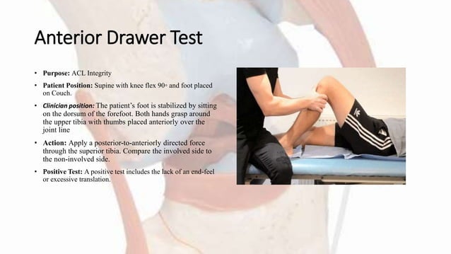 Knee Joint Assessment Tests and Mobilizations | PPTX | Death, Injury ...