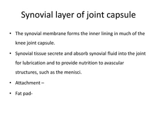 Synovial layer of joint capsule
• The synovial membrane forms the inner lining in much of the
knee joint capsule.
• Synovial tissue secrete and absorb synovial fluid into the joint
for lubrication and to provide nutrition to avascular
structures, such as the menisci.
• Attachment –
• Fat pad-
 
