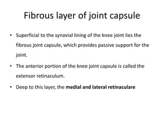 Fibrous layer of joint capsule
• Superficial to the synovial lining of the knee joint lies the
fibrous joint capsule, which provides passive support for the
joint.
• The anterior portion of the knee joint capsule is called the
extensor retinaculum.
• Deep to this layer, the medial and lateral retinaculare
 
