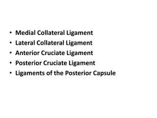 • Medial Collateral Ligament
• Lateral Collateral Ligament
• Anterior Cruciate Ligament
• Posterior Cruciate Ligament
• Ligaments of the Posterior Capsule
 