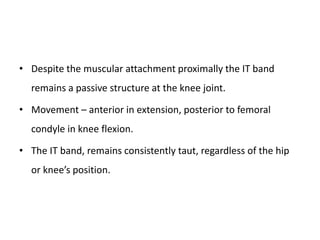 • Despite the muscular attachment proximally the IT band
remains a passive structure at the knee joint.
• Movement – anterior in extension, posterior to femoral
condyle in knee flexion.
• The IT band, remains consistently taut, regardless of the hip
or knee’s position.
 