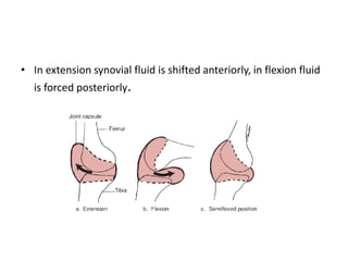 • In extension synovial fluid is shifted anteriorly, in flexion fluid
is forced posteriorly.
 
