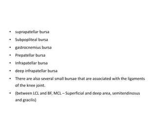 • suprapatellar bursa
• Subpopliteal bursa
• gastrocnemius bursa
• Prepatellar bursa
• Infrapatellar bursa
• deep infrapatellar bursa
• There are also several small bursae that are associated with the ligaments
of the knee joint.
• (between LCL and BF, MCL – Superficial and deep area, semitendinosus
and gracilis)
 