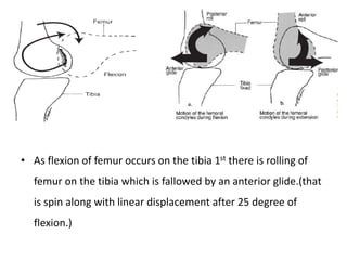 • As flexion of femur occurs on the tibia 1st there is rolling of
femur on the tibia which is fallowed by an anterior glide.(that
is spin along with linear displacement after 25 degree of
flexion.)
 