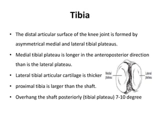 Tibia
• The distal articular surface of the knee joint is formed by
asymmetrical medial and lateral tibial plateaus.
• Medial tibial plateau is longer in the anteroposterior direction
than is the lateral plateau.
• Lateral tibial articular cartilage is thicker
• proximal tibia is larger than the shaft.
• Overhang the shaft posteriorly (tibial plateau) 7-10 degree
 