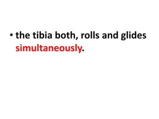 • the tibia both, rolls and glides
simultaneously.
 