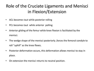 Role of the Cruciate Ligaments and Menisci
in Flexion/Extension
• ACL becomes taut while posterior rolling
• PCL becomes taut while anterior polling
• Anterior gliding of the femur while knee flexion is facilitated by the
menisci.
• The wedge shape of the menisci posteriorly ,forces the femoral condyle to
roll “uphill” as the knee flexes.
• Posterior deformation occurs, this deformation allows menisci to stay in
place.
• On extension the menisci returns to neutral position.
 