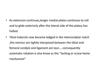 • As extension continues,longer medial plateu continues to roll
and to glide anteriorly after the lateral side of the plateu has
halted.
• Tibial tubercle now become lodged in the intercondylar notch
,the menisci are tightly interposed between the tibial and
femoral condyle and ligament are taut…..consequently
automatic rotation is also know as the “locking or screw home
mechanism”
 