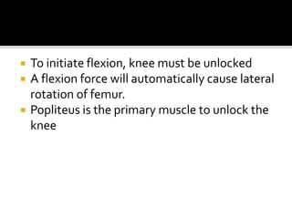  To initiate flexion, knee must be unlocked
 A flexion force will automatically cause lateral
rotation of femur.
 Popliteus is the primary muscle to unlock the
knee
 