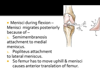  Menisci during flexion –
Menisci migrates posteriorly
because of –
1. Semimembranosis
attachment to medial
meniscus.
1. Popliteus attachment
to lateral meniscus.
 So femur has to move uphill & menisci
causes anterior translation of femur.
 