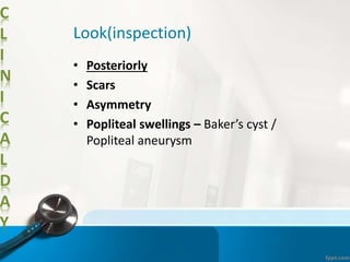 C
L
I
N
I
C
A
L
D
A
Y
Look(inspection)
• Posteriorly
• Scars
• Asymmetry
• Popliteal swellings – Baker’s cyst /
Popliteal aneurysm
 