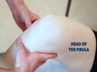 C
L
I
N
I
C
A
L
D
A
Y
 