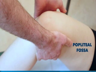 C
L
I
N
I
C
A
L
D
A
Y
 