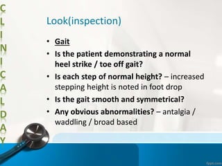 C
L
I
N
I
C
A
L
D
A
Y
Look(inspection)
• Gait
• Is the patient demonstrating a normal
heel strike / toe off gait?
• Is each step of normal height? – increased
stepping height is noted in foot drop
• Is the gait smooth and symmetrical?
• Any obvious abnormalities? – antalgia /
waddling / broad based
 