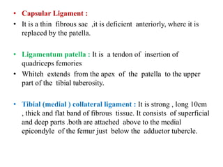 • Capsular Ligament :
• It is a thin fibrous sac ,it is deficient anteriorly, where it is
replaced by the patella.
• Ligamentum patella : It is a tendon of insertion of
quadriceps femories
• Whitch extends from the apex of the patella to the upper
part of the tibial tuberosity.
• Tibial (medial ) collateral ligament : It is strong , long 10cm
, thick and flat band of fibrous tissue. It consists of superficial
and deep parts .both are attached above to the medial
epicondyle of the femur just below the adductor tubercle.
 