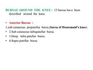 BURSAE AROUND THE KNEE : 13 bursae have been
described around the knee.
• Anterior Bursae :
1.sub cutaneous prepatellar bursa.(bursa of Housemaid’s knee)
• 2.Sub cutaneous infrapatellar bursa.
• 3.Deep infra patellar bursa.
• 4.Supra patellar bursa.
 