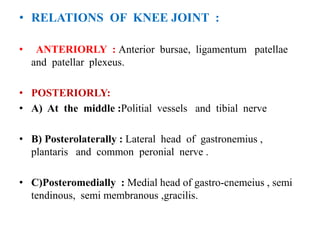 • RELATIONS OF KNEE JOINT :
• ANTERIORLY : Anterior bursae, ligamentum patellae
and patellar plexeus.
• POSTERIORLY:
• A) At the middle :Politial vessels and tibial nerve
• B) Posterolaterally : Lateral head of gastronemius ,
plantaris and common peronial nerve .
• C)Posteromedially : Medial head of gastro-cnemeius , semi
tendinous, semi membranous ,gracilis.
 
