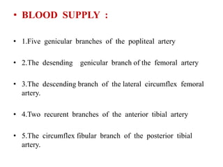 • BLOOD SUPPLY :
• 1.Five genicular branches of the popliteal artery
• 2.The desending genicular branch of the femoral artery
• 3.The descending branch of the lateral circumflex femoral
artery.
• 4.Two recurent branches of the anterior tibial artery
• 5.The circumflex fibular branch of the posterior tibial
artery.
 
