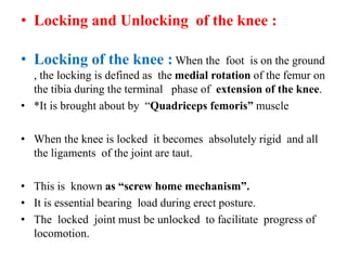 • Locking and Unlocking of the knee :
• Locking of the knee : When the foot is on the ground
, the locking is defined as the medial rotation of the femur on
the tibia during the terminal phase of extension of the knee.
• *It is brought about by “Quadriceps femoris” muscle
• When the knee is locked it becomes absolutely rigid and all
the ligaments of the joint are taut.
• This is known as “screw home mechanism”.
• It is essential bearing load during erect posture.
• The locked joint must be unlocked to facilitate progress of
locomotion.
 