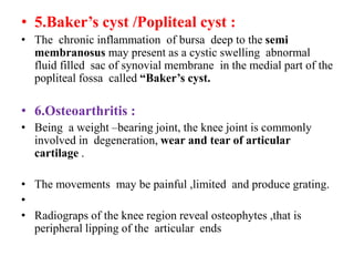 • 5.Baker’s cyst /Popliteal cyst :
• The chronic inflammation of bursa deep to the semi
membranosus may present as a cystic swelling abnormal
fluid filled sac of synovial membrane in the medial part of the
popliteal fossa called “Baker’s cyst.
• 6.Osteoarthritis :
• Being a weight –bearing joint, the knee joint is commonly
involved in degeneration, wear and tear of articular
cartilage .
• The movements may be painful ,limited and produce grating.
•
• Radiograps of the knee region reveal osteophytes ,that is
peripheral lipping of the articular ends
 