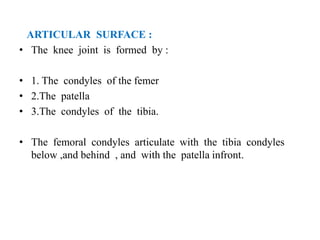 ARTICULAR SURFACE :
• The knee joint is formed by :
• 1. The condyles of the femer
• 2.The patella
• 3.The condyles of the tibia.
• The femoral condyles articulate with the tibia condyles
below ,and behind , and with the patella infront.
 