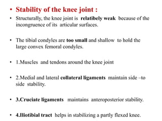 • Stability of the knee joint :
• Structurally, the knee joint is relatibely weak because of the
incongruence of its articular surfaces.
• The tibial condyles are too small and shallow to hold the
large convex femoral condyles.
• 1.Muscles and tendons around the knee joint
• 2.Medial and lateral collateral ligaments maintain side –to
side stability.
• 3.Cruciate ligaments maintains anteroposterior stability.
• 4.Iliotibial tract helps in stabilizing a partly flexed knee.
 