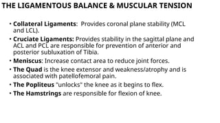 knee kinematics including biomechanics and anatomy.pptx