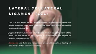 L A T E R A L C O L L A T E R A L
L I G A M E N T ( L C L )
The LCL also known as the Lateral Collateral Ligament is one of the four
major ligaments that helps stabilize the knee joint when performing
movement with the leg.
Typically the LCL is injured when there is direct force on the inside of the
knee.This can cause the LCL, ligment to be stretch or torn beyond its
normal range of motion.
Symptoms are Pain and tenderness along with swelling ,feeling of
instability in their knee when walking.
 