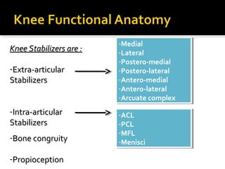 Knee Stabilizers are :
-Extra-articular
Stabilizers
-Intra-articular
Stabilizers
-Bone congruity
-Propioception

--Medial
Medial
--Lateral
Lateral
--Postero-medial
Postero-medial
--Postero-lateral
Postero-lateral
--Antero-medial
Antero-medial
--Antero-lateral
Antero-lateral
--Arcuatecomplex
Arcuate complex
--ACL
ACL
--PCL
PCL
--MFL
MFL
--Menisci
Menisci

 