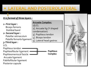 Knee ligaments | PPT