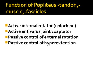  Active internal rotator (unlocking)
 Active antivarus joint coaptator
 Passive control of external rotation
 Passive control of hyperextension

 