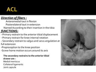 Direction of fibers :

Anteromedial taut in flexion
Posterolateral taut in extension
Named According to their insertion in the tibia

fUNCTIONS:

- Primary restrain to the anterior tibial displacement
- Primary restrain for knee internal rotation
- Secondary restrain to valgus and varus angulation at
full extension
-Propioception to the knee position
-Screw home motion occurs around its axis
The secondary restrains to the anterior tibial
drawer are :
Medial meniscus
Collateral ligaments
Joint capsule

 