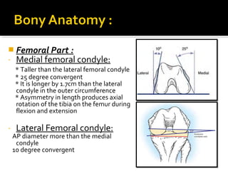  Femoral Part :
- Medial femoral condyle:
* Taller than the lateral femoral condyle
* 25 degree convergent
* It is longer by 1.7cm than the lateral
condyle in the outer circumference
* Asymmetry in length produces axial
rotation of the tibia on the femur during
flexion and extension

-

Lateral Femoral condyle:

AP diameter more than the medial
condyle
10 degree convergent

 