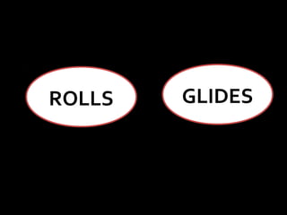 ROLLS

GLIDES

 