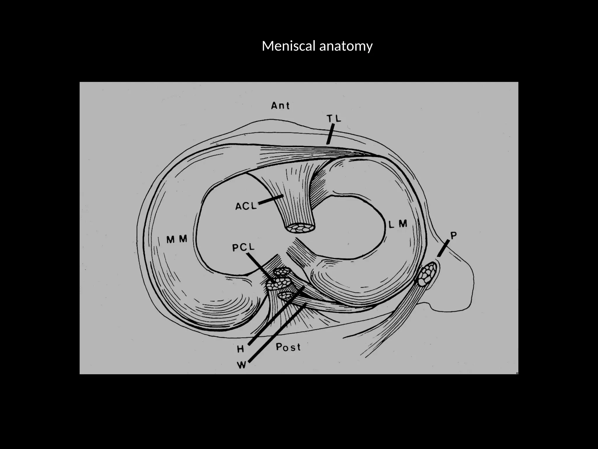 mri of the knee - acl pcl mensicus and collaterals | PPT