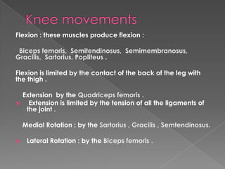 Flexion : these muscles produce flexion :
Biceps femoris, Semitendinosus, Semimembranosus,
Gracilis, Sartorius, Popliteus .
Flexion is limited by the contact of the back of the leg with
the thigh .
- Extension by the Quadriceps femoris .
 Extension is limited by the tension of all the ligaments of
the joint .
- Medial Rotation : by the Sartorius , Gracilis , Semtendinosus.
 Lateral Rotation : by the Biceps femoris .
 