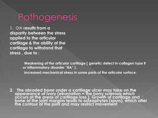 1. OA results from a
disparity between the stress
applied to the articular
cartilage & the ability of the
cartilage to withstand that
stress , due to :
› Weakening of the articular cartilage ( genetic defect in collagen type ll
or inflammatory disorder “RA” ) .
› Increased mechanical stress in some parts of the articular surface.
2. The abraded bone under a cartilage ulcer may take on the
appearance of ivory (eburnation = the bony sclerosis which
occurs at the areas of cartilage loss.). Growth of cartilage and
bone at the joint margins leads to osteophytes (spurs), which alter
the contour of the joint and may restrict movement
 