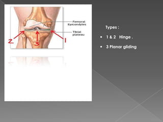 Types :
 1 & 2 Hinge .
 3 Planar gliding
 