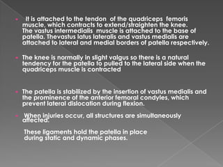  It is attached to the tendon of the quadriceps femoris
muscle, which contracts to extend/straighten the knee.
The vastus intermedialis muscle is attached to the base of
patella. Thevastus latus lateralis and vastus medialis are
attached to lateral and medial borders of patella respectively.
 The knee is normally in slight valgus so there is a natural
tendency for the patella to pulled to the lateral side when the
quadriceps muscle is contracted
 The patella is stabilized by the insertion of vastus medialis and
the prominence of the anterior femoral condyles, which
prevent lateral dislocation during flexion.
 When injuries occur, all structures are simultaneously
affected.
These ligaments hold the patella in place
during static and dynamic phases.
 