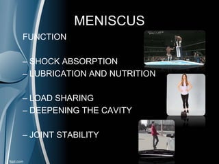 MENISCUS
FUNCTION
– SHOCK ABSORPTION
– LUBRICATION AND NUTRITION
– LOAD SHARING
– DEEPENING THE CAVITY
– JOINT STABILITY
 