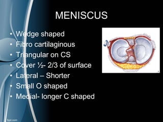 MENISCUS
• Wedge shaped
• Fibro cartilaginous
• Triangular on CS
• Cover ½- 2/3 of surface
• Lateral – Shorter
• Small O shaped
• Medial- longer C shaped
 