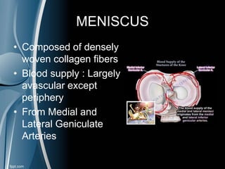 MENISCUS
• Composed of densely
woven collagen fibers
• Blood supply : Largely
avascular except
periphery
• From Medial and
Lateral Geniculate
Arteries
 