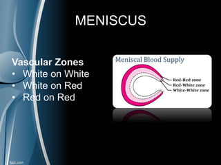 MENISCUS
Vascular Zones
• White on White
• White on Red
• Red on Red
 