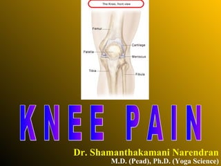 Dr. Shamanthakamani Narendran K N E E  P A I N M.D. (Pead), Ph.D. (Yoga Science) 
