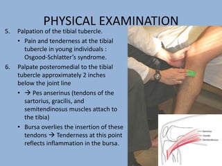 PHYSICAL EXAMINATION
5. Palpation of the tibial tubercle.
• Pain and tenderness at the tibial
tubercle in young individuals :
Osgood-Schlatter’s syndrome.
6. Palpate posteromedial to the tibial
tubercle approximately 2 inches
below the joint line
•  Pes anserinus (tendons of the
sartorius, gracilis, and
semitendinosus muscles attach to
the tibia)
• Bursa overlies the insertion of these
tendons  Tenderness at this point
reflects inflammation in the bursa.
 
