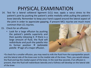 PHYSICAL EXAMINATION
15. Check for an effusion.
• Look for a large effusion by pushing
the patient’s patella superiorly and
then quickly releasing it. If there is a
large amount of fluid, the fluid will
redistribute and push the patella into
its former position  ballotable
patella  sign of a major effusion.
14. Test for a lateral collateral ligament (LCL) tear, apply a varus stress to the
patient’s joint by pushing the patient’s ankle medially while pulling the patient’s
knee laterally. Remember to keep your hand cupped around the lateral aspect of
the joint in order to appreciate gapping, if present MCL injuries are much more
common than LCL injuries.
•To check for a smaller effusion, you may need to milk the fluid from the suprapatellar pouch
and the lateral side of the knee over to the medial side of the knee. Then, you would release
the fluid and tap the medial aspect of the knee. In the next few seconds, if an effusion is
present, then the fluid will redistribute laterally and a fullness will develop on the lateral side
of the knee
 